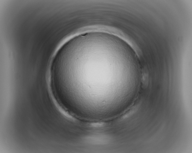 X0000113981523200910091307