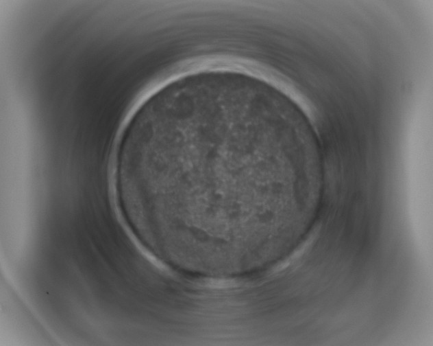 X0000113981525200910091307