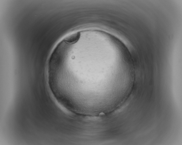 X0000113981526200910091307