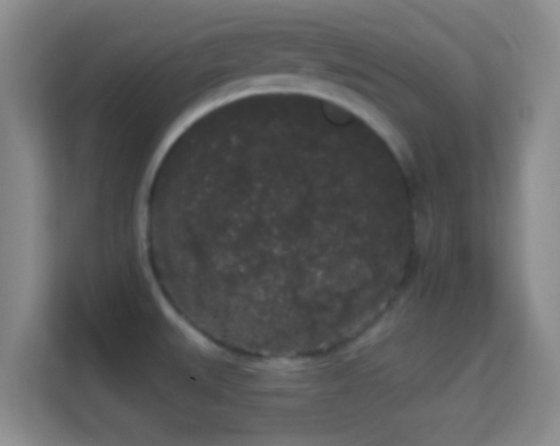 X0000113981527200910091307