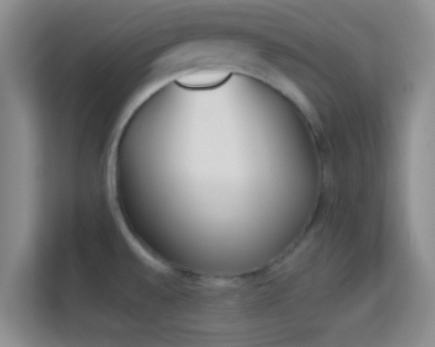 X0000113981528200910091307