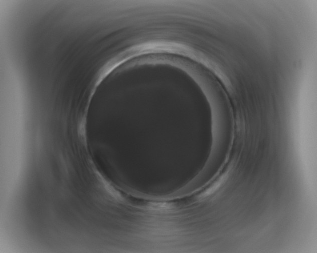 X0000113981529200910091307