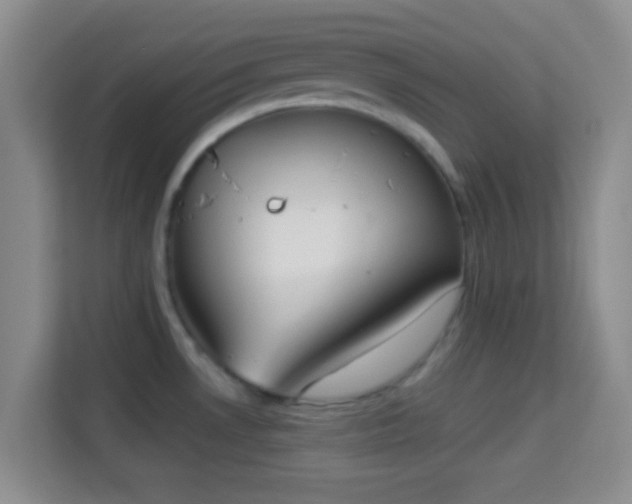 X0000113981530200910091307