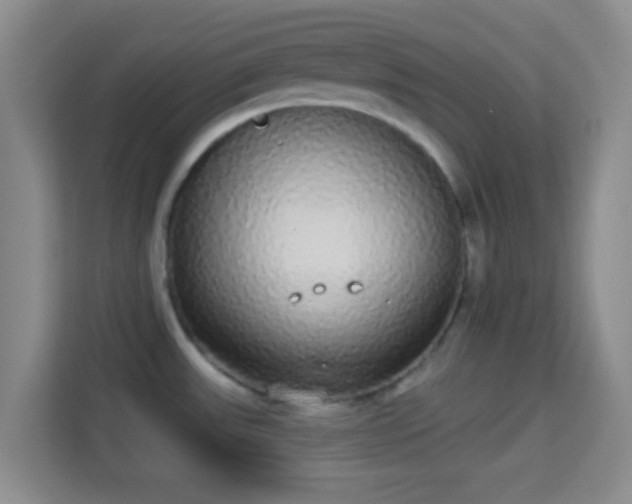 X0000113981531200910091307