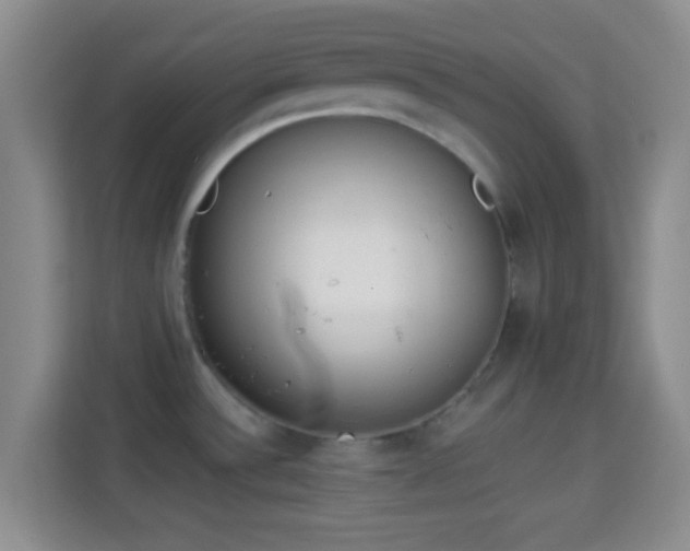 X0000113981532200910091308