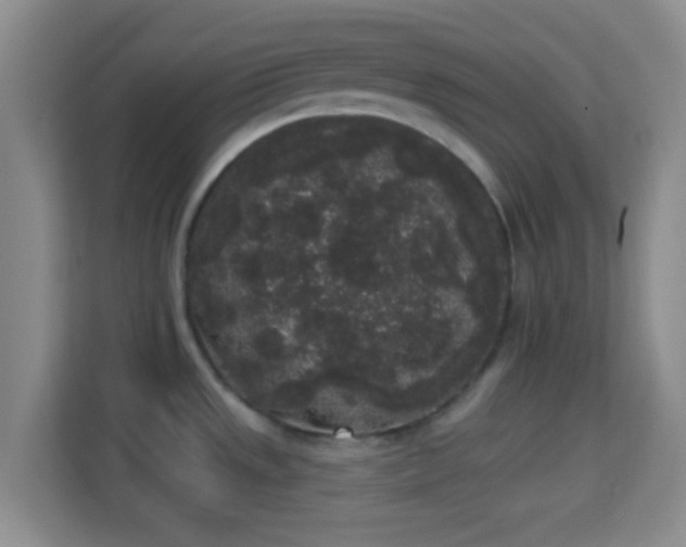 X0000113981533200910091308