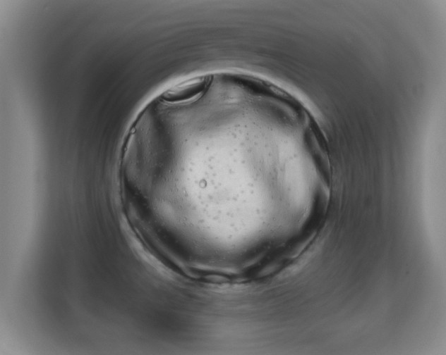 X0000113981534200910091308