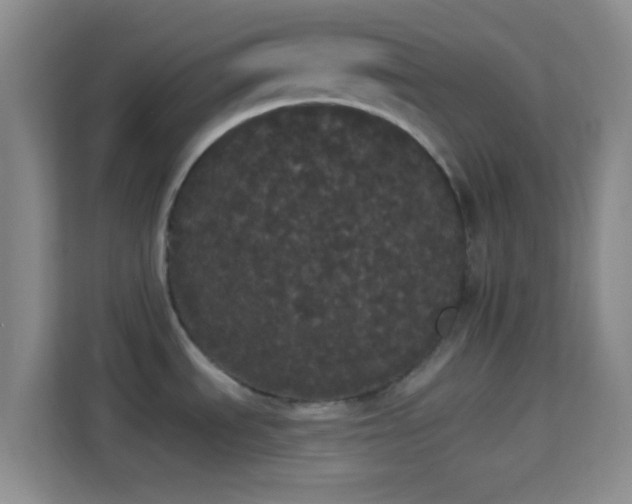 X0000113981535200910091308