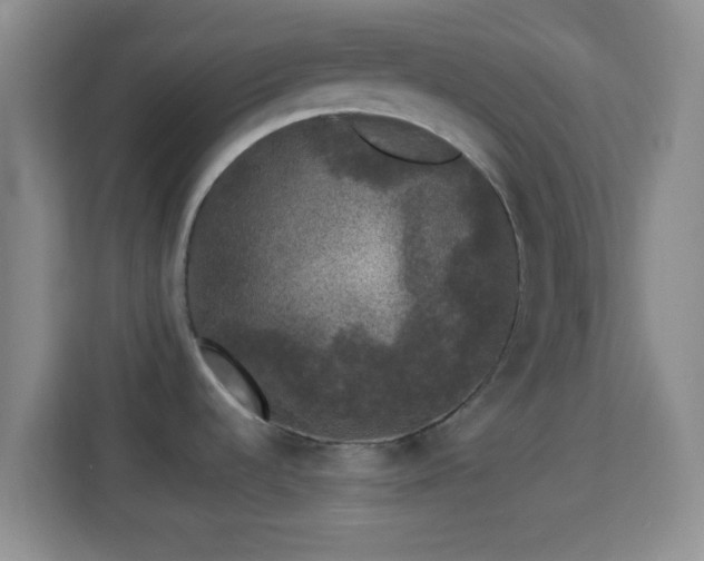 X0000113981536200910091308