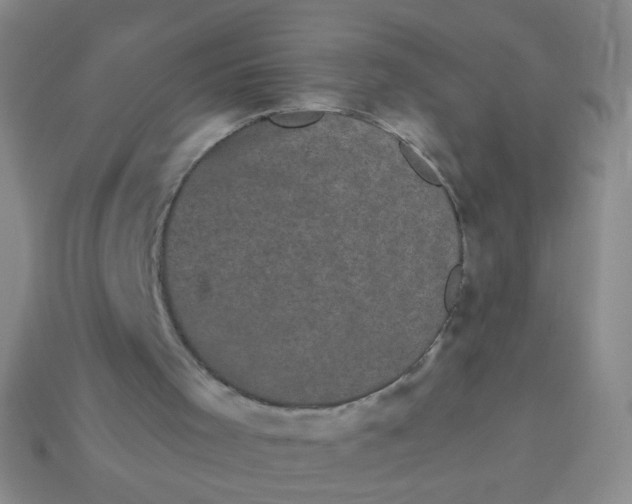 X0000113980001200910161634