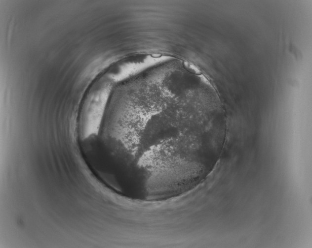 X0000113980002200910161634