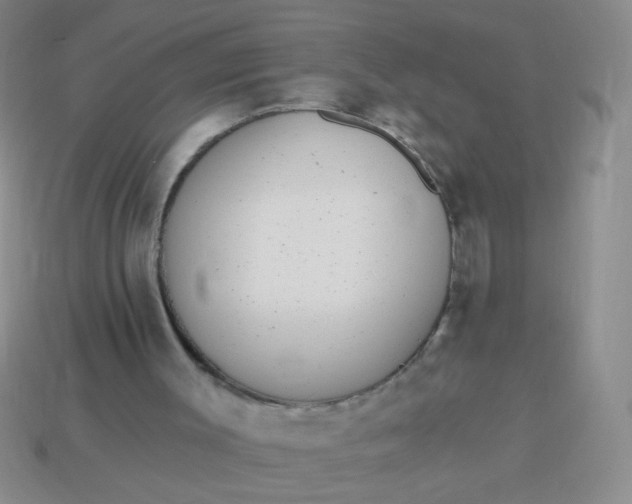 X0000113980003200910161634