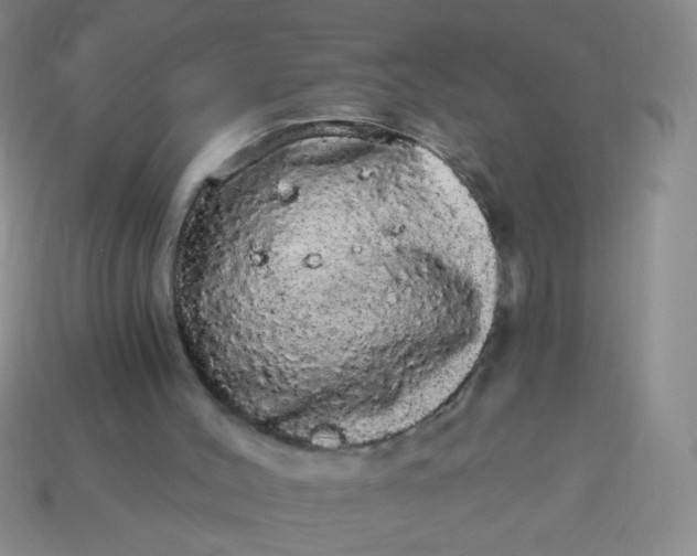 X0000113980004200910161634