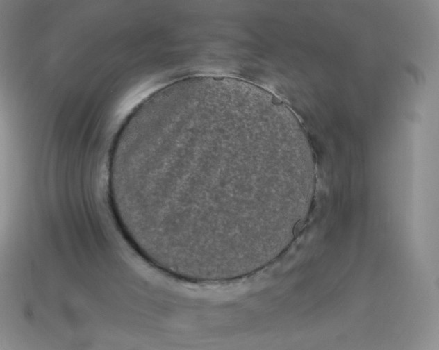 X0000113980005200910161634