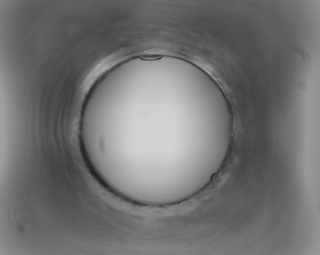 X0000113980007200910161634