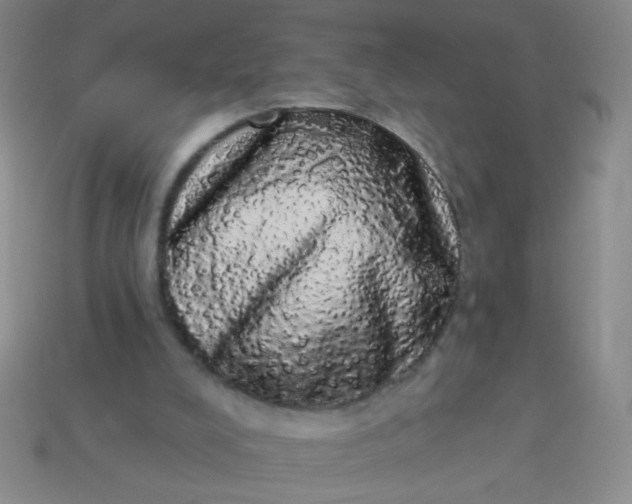 X0000113980008200910161634