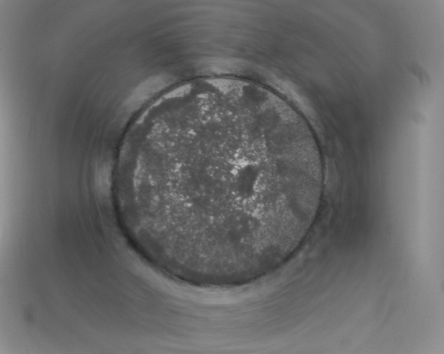 X0000113980010200910161634