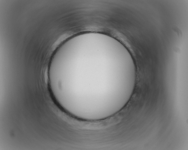 X0000113980011200910161634