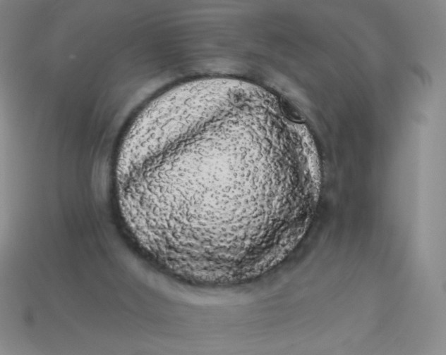 X0000113980012200910161634