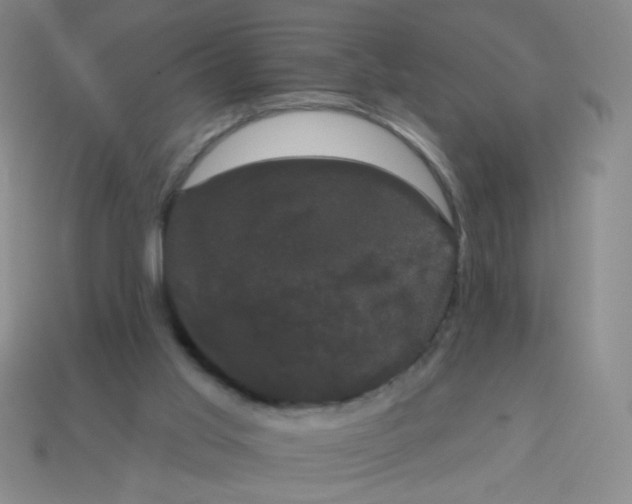 X0000113980013200910161634