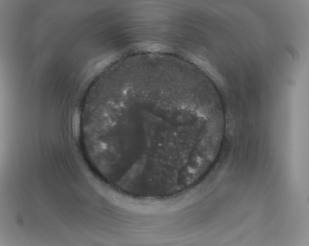 X0000113980014200910161634