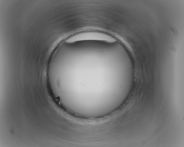 X0000113980015200910161634