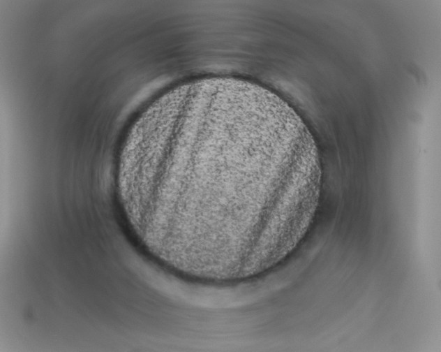 X0000113980016200910161634