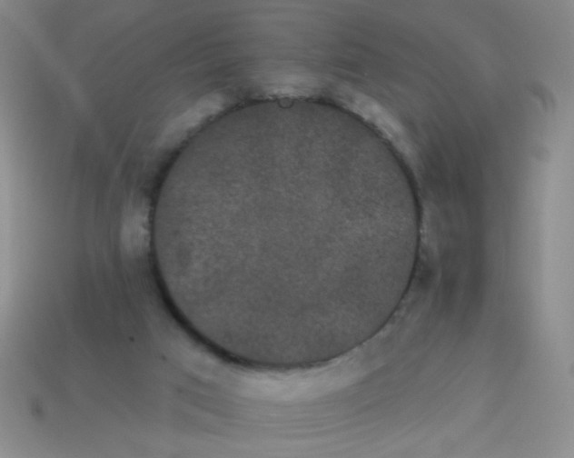 X0000113980017200910161634