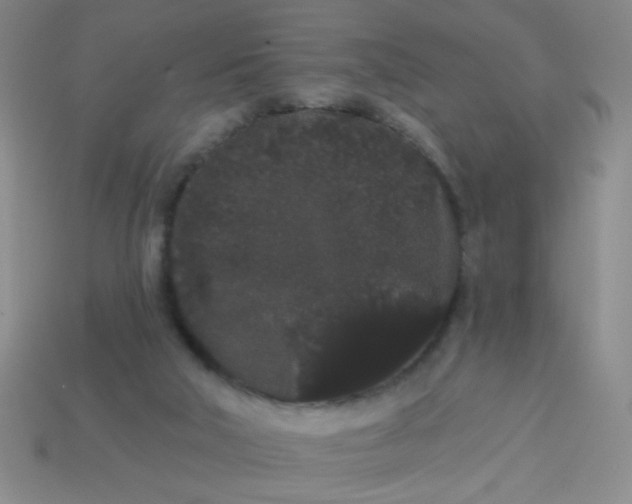 X0000113980018200910161634