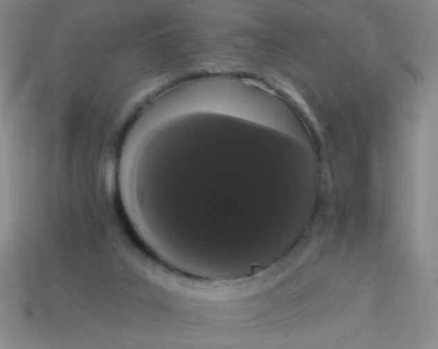 X0000113980019200910161634