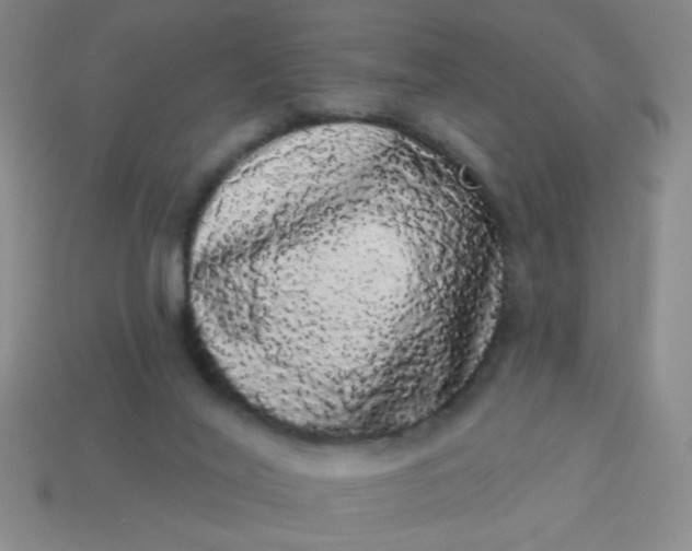 X0000113980020200910161634