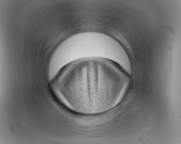 X0000113980021200910161634