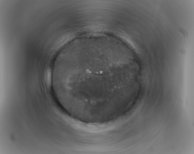 X0000113980022200910161634