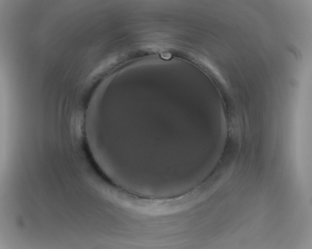 X0000113980023200910161634