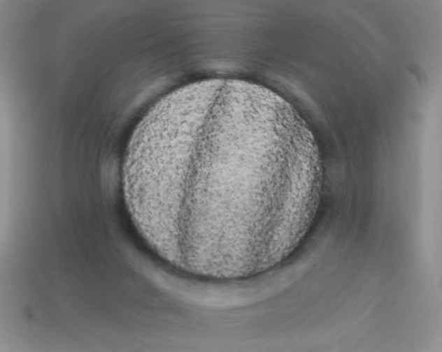 X0000113980024200910161633