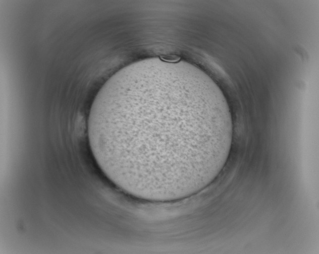 X0000113980025200910161633