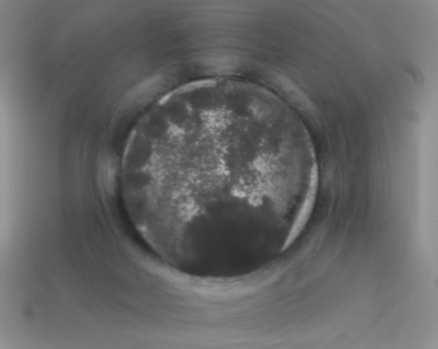 X0000113980026200910161633