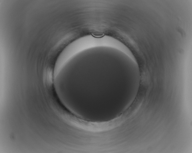 X0000113980027200910161633