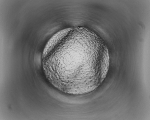 X0000113980028200910161633