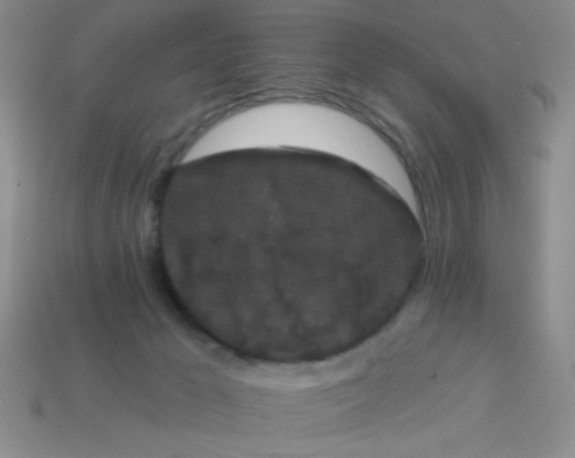 X0000113980029200910161633