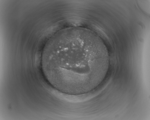 X0000113980030200910161633