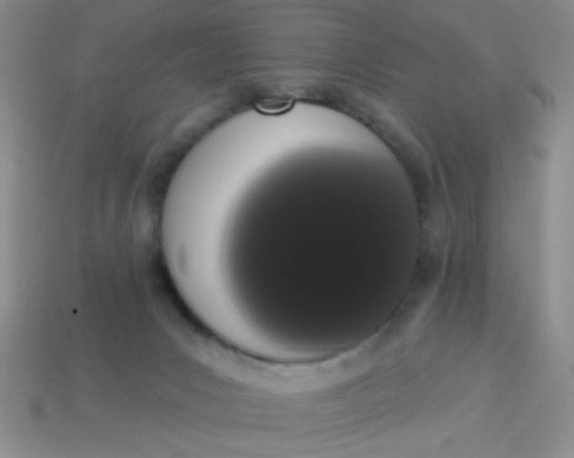 X0000113980031200910161633