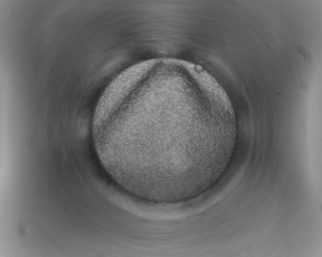 X0000113980032200910161633