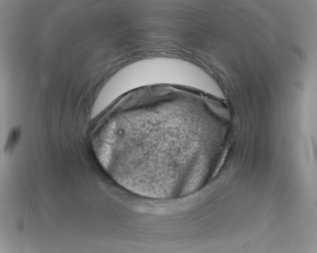 X0000113980033200910161633