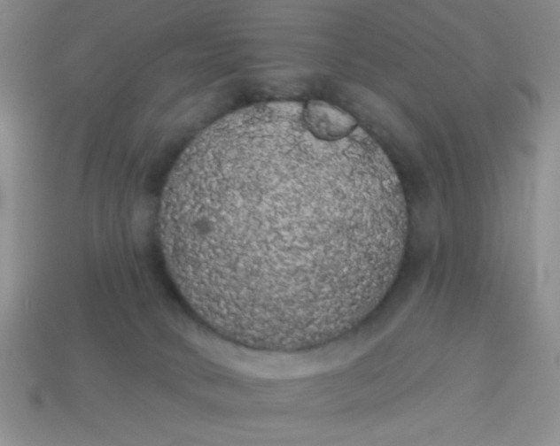 X0000113980034200910161633