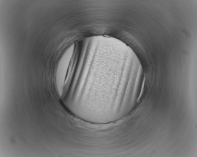 X0000113980035200910161633