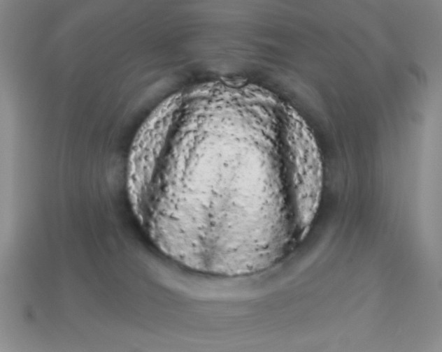 X0000113980036200910161633