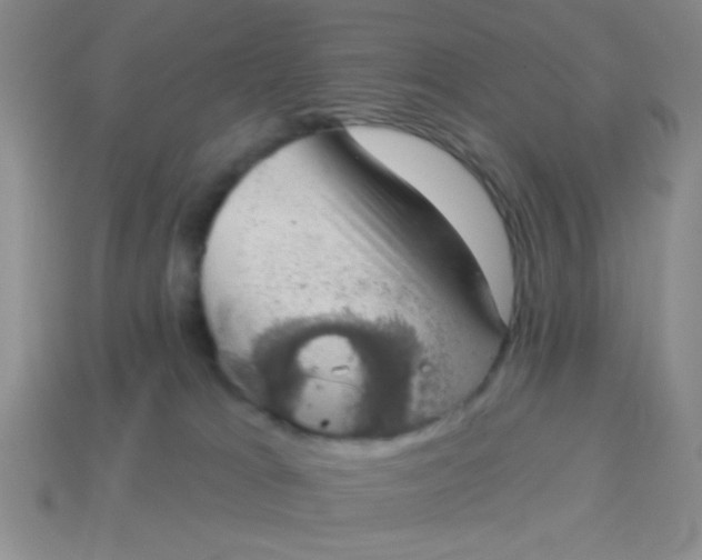 X0000113980037200910161633