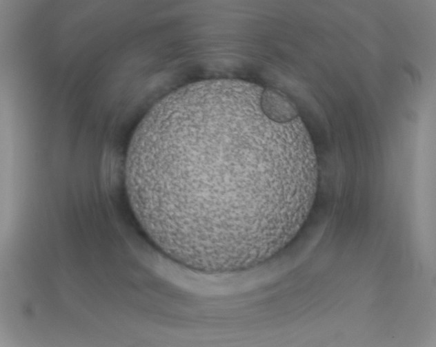 X0000113980038200910161633