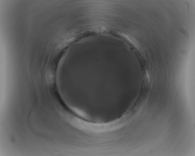 X0000113980039200910161633